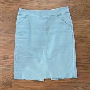 Elegant Blue Women's Skirt